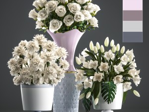 bouquets of white flowers in vases 3D Model