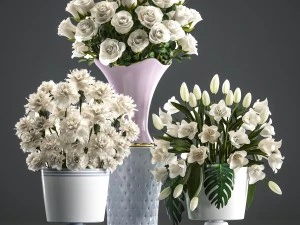 bouquets of white flowers in vases 3D Model