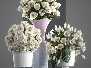 bouquets of white flowers in vases 3D Модель