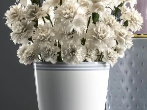 bouquets of white flowers in vases 3D Model
