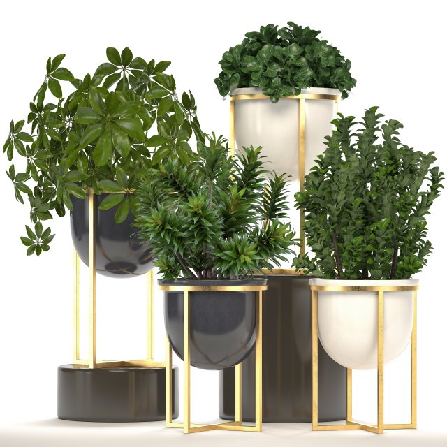 collection of plants in pots 3D Model .c4d .max .obj .3ds .fbx .stl .blend 