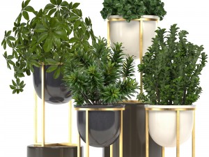 collection of plants in pots 3D Model