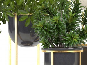 collection of plants in pots 3D Model