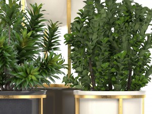 collection of plants in pots 3D Model