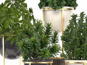 collection of plants in pots 3D Model