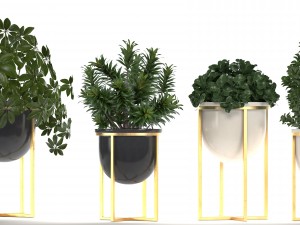 collection of plants in pots 3D Model
