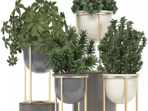 collection of plants in pots 3D Model