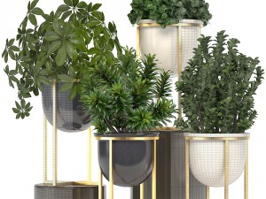 collection of plants in pots 3D Model