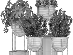 collection of plants in pots 3D Model