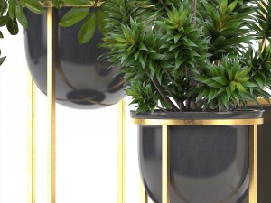 collection of plants in pots 3D Model