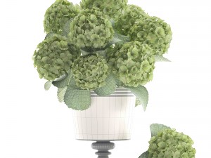 bouquet of green hydrangea 3D-Modell