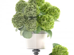 bouquet of green hydrangea 3D-Modell