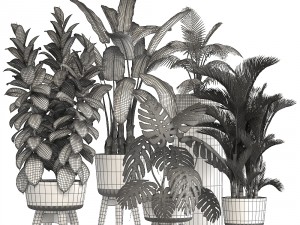collection of ornamental plants in pots 3D 모델
