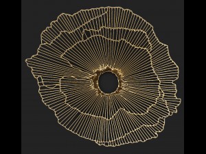 gold wall art sculpture 3D Model