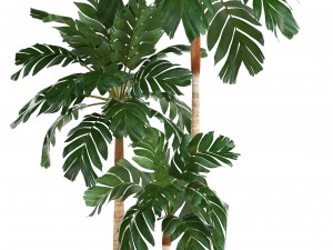 collection of ornamental plants in pots 3D Model