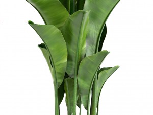 collection of ornamental plants in pots 3D Model