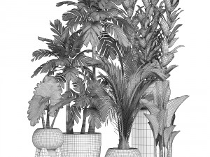 collection of ornamental plants in pots 3D Model
