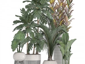 collection of ornamental plants in pots 3D Model