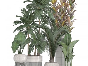 collection of ornamental plants in pots 3D Model