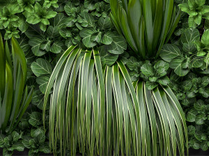 vertical gardening Model 3D
