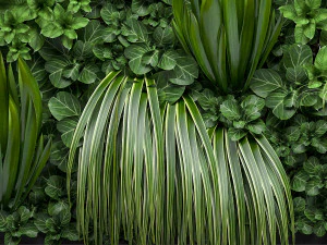 vertical gardening 3D Model