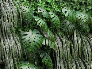 vertical gardening 3D Модель