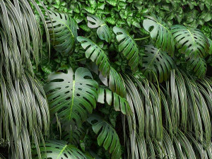 vertical gardening 3D Model