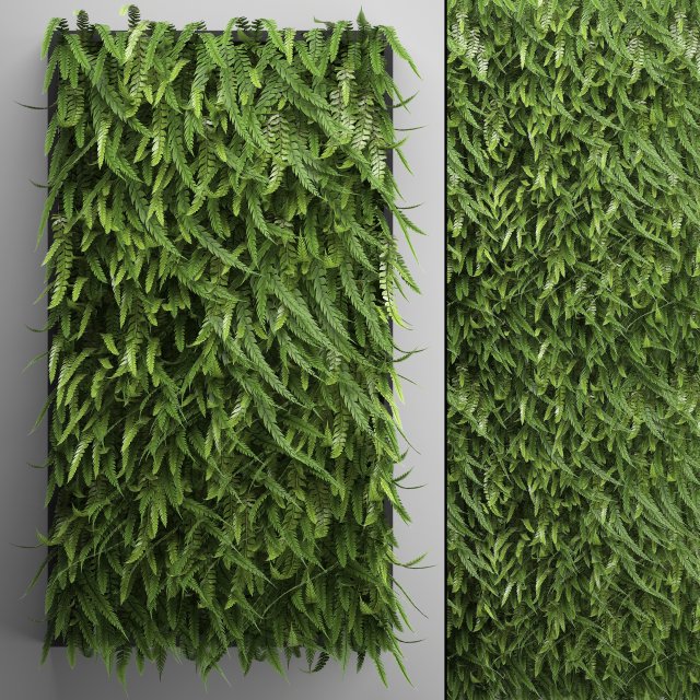 vertical gardening fern wall Modelo 3D .c4d .max .obj .3ds .fbx .stl .blend 