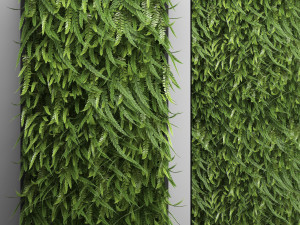 vertical gardening fern wall 3D Model