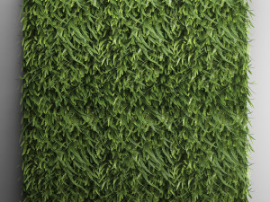vertical gardening fern wall Modelo 3D
