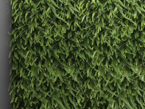 vertical gardening fern wall Modelo 3D