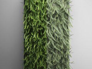 vertical gardening fern wall Modelo 3D