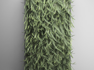 vertical gardening fern wall Modelo 3D