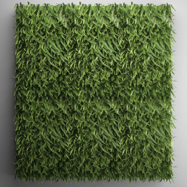 vertical gardening fern wall 2 3D Модель .c4d .max .obj .3ds .fbx .stl .blend 