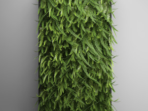 vertical gardening fern wall 2 3D Модель