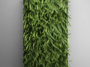 vertical gardening fern wall 2 3D Model