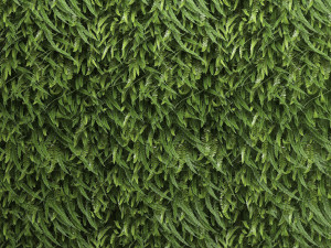 vertical gardening fern wall 2 3D Модель