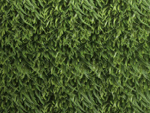 vertical gardening fern wall 2 3D Model