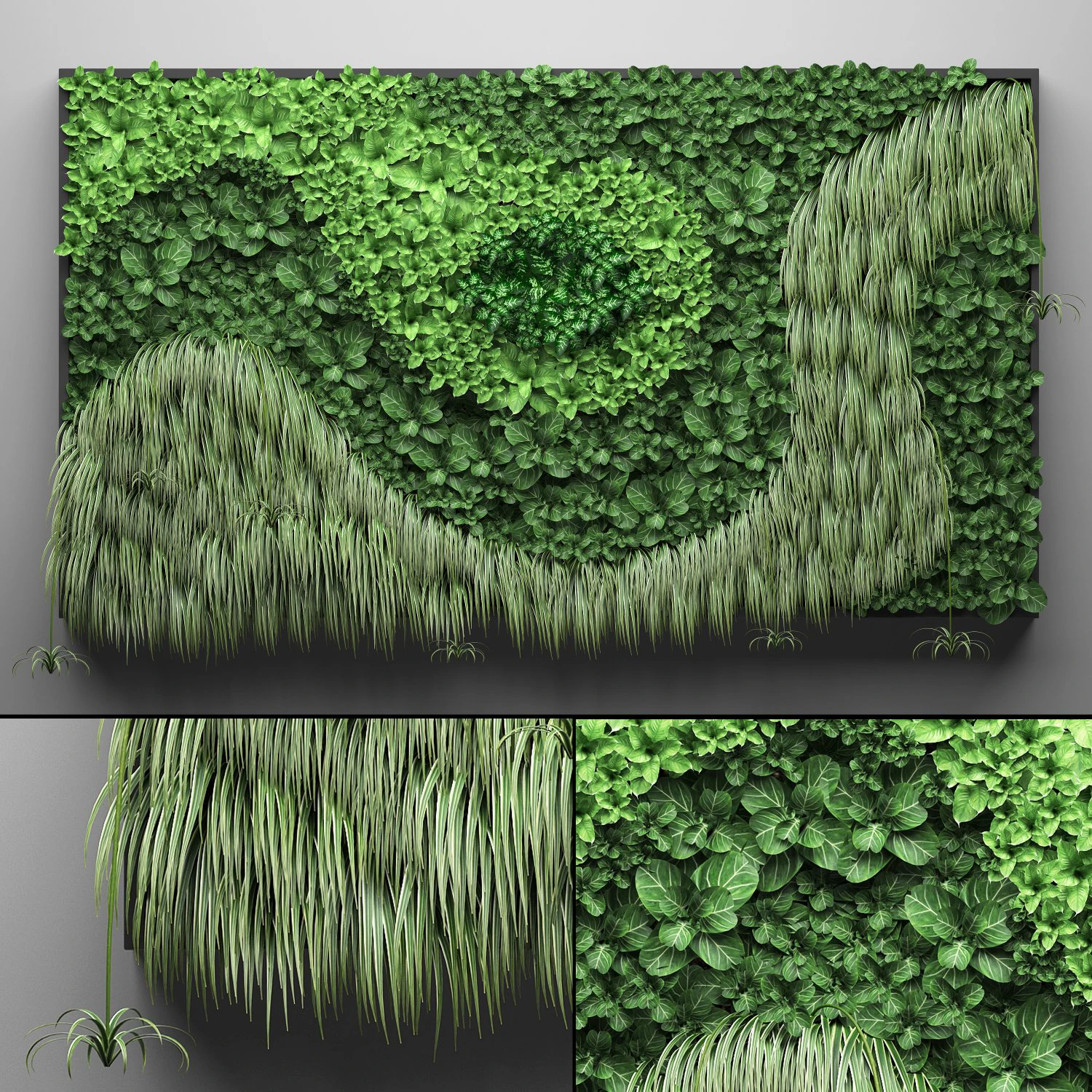vertical gardening 3D Model .c4d .max .obj .3ds .fbx .stl .blend 