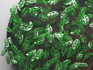 vertical gardening monstera 3D मॉडल