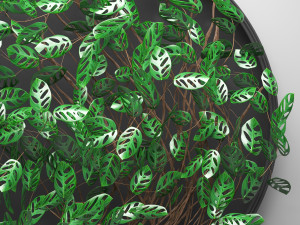 vertical gardening monstera 3D मॉडल