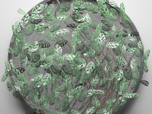 vertical gardening monstera 3D मॉडल