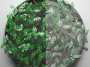 vertical gardening monstera 3D मॉडल
