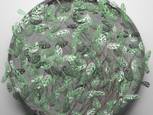 vertical gardening monstera 3D मॉडल