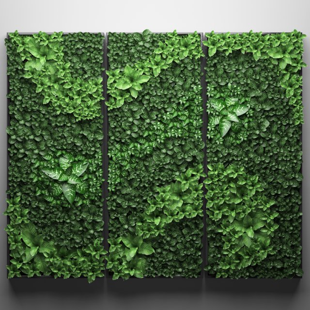 vertical gardening picture Modèle 3D .c4d .max .obj .3ds .fbx .stl .blend 
