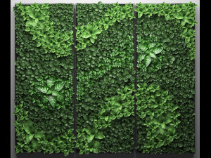 vertical gardening picture Modèle 3D