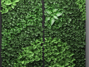 vertical gardening picture Modèle 3D