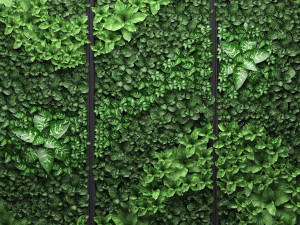 vertical gardening picture 3D Model