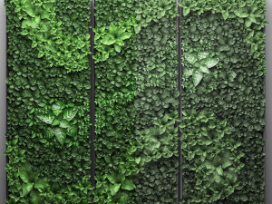 vertical gardening picture Modèle 3D