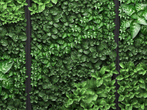vertical gardening picture Modèle 3D